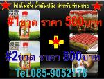 ++น้ำมันปลิง Lintah merah papua ไทย++085-9052178